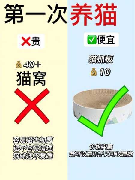 猫用品简笔画（猫咪用品清单加价格）