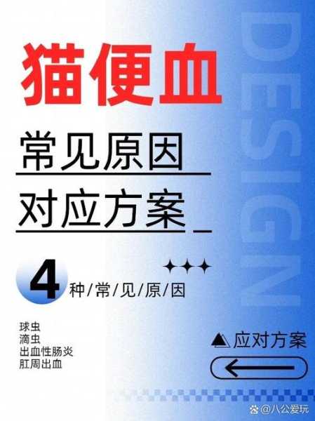 猫咪出现便血是什么原因及有哪些应对方法（猫咪便血是怎么回事儿?）