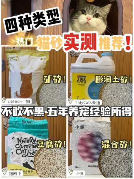 煤渣代替猫砂给猫咪使用可以吗（煤炭渣做猫砂）