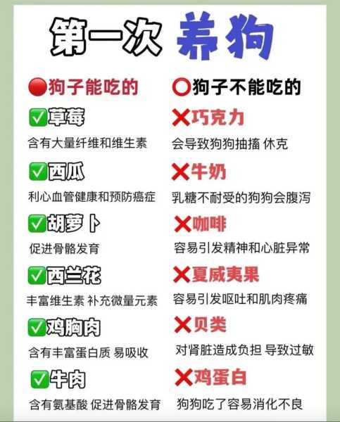 养狗要注意啥（养狗要注意什么）