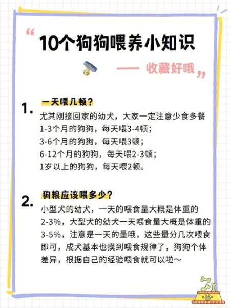 狗狗保健品有哪些（狗狗保健品要一直吃吗）