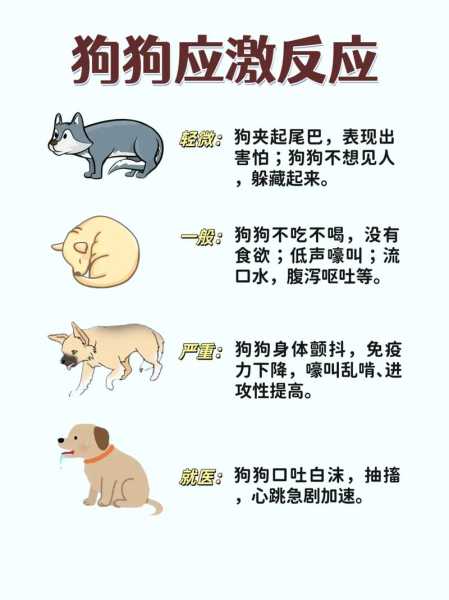 如何解决幼犬哀嚎?（幼犬嚎叫怎么办想扔了）