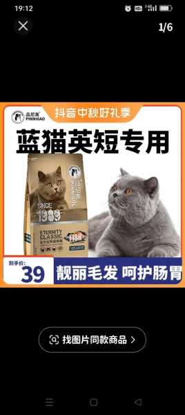 年龄大的猫（年龄大的猫咪吃什么猫粮好）