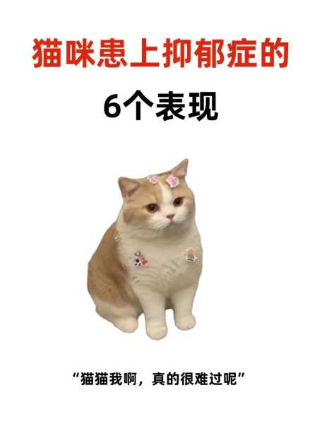 猫得了抑郁怎么办（猫得了抑郁症如何治疗）