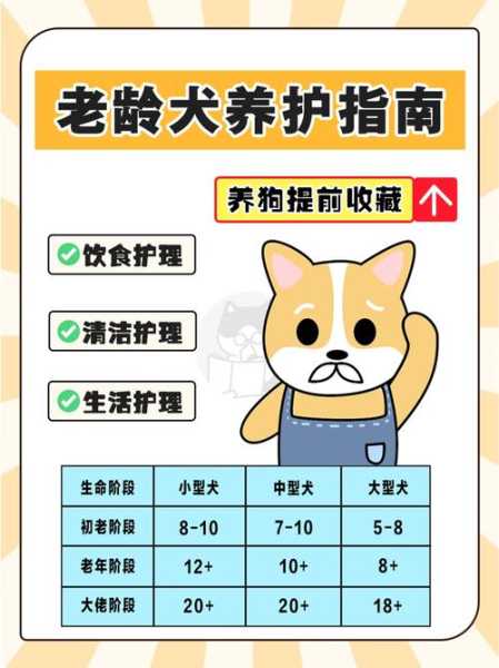 如何养老年犬（如何养老年犬视频）