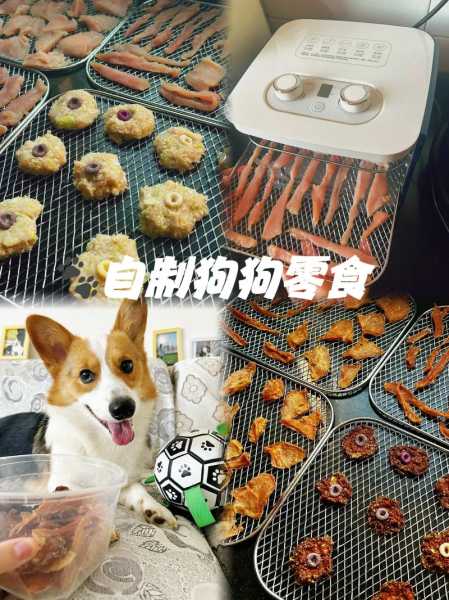 训练狗狗用什么零食（训练狗狗给它吃什么）