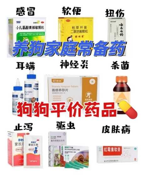 狗狗感冒的药（狗狗感冒用什么药效果好）