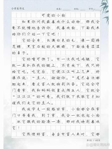 给狗狗打扮的句子（给狗狗化妆作文）