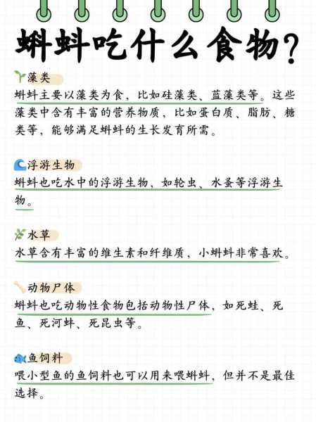 蝌蚪吃什么呢（蝌蚪吃什么呢百度知道吗）