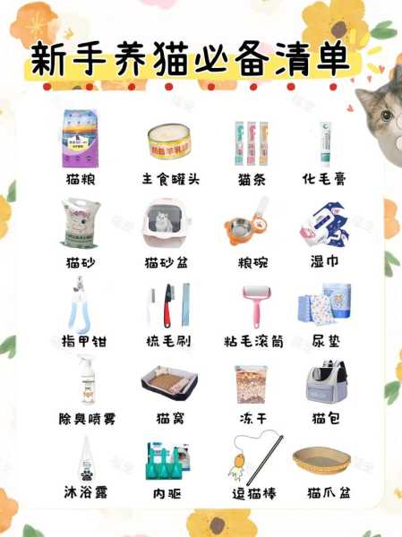 猫用品大全清单（猫用品图片）