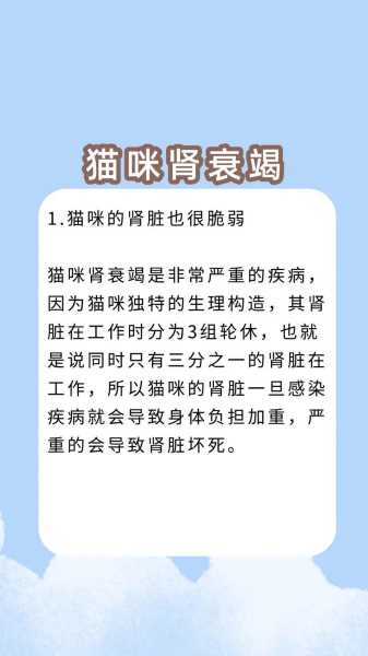 猫肾衰竭临死前症状（猫肾衰竭一般活多久）