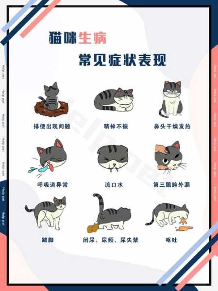 猫咪在什么情况下会出现（猫在什么情况下会生病）