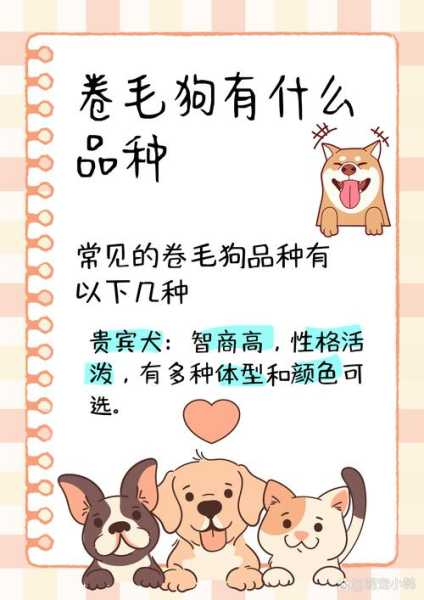 贵宾犬呕吐一般都有哪些症状（贵宾犬一直吐也不吃饭怎么办）