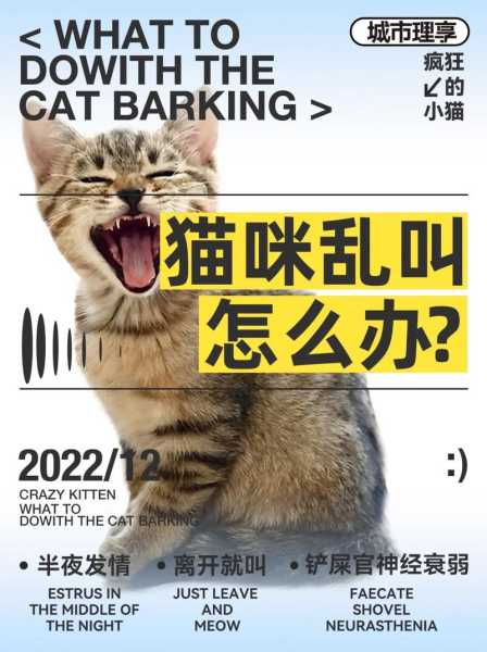 猫早上乱叫怎么办（猫早上老是叫唤是怎么回事）