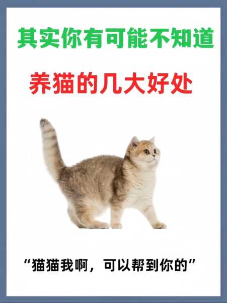 猫会照顾好自己的（猫会护着自己孩子吗）