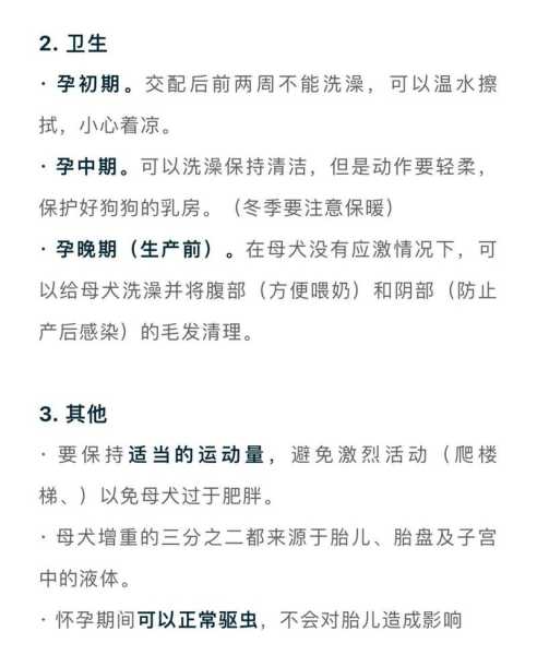 母犬妊娠期的管理（母犬妊娠期的护理）