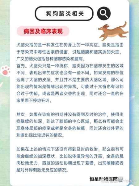 狗狗脑炎症状及防治措施（狗狗脑炎症状是什么）