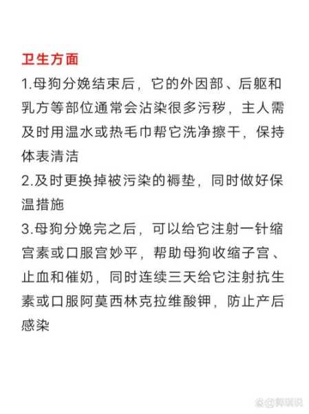 母犬产后应该怎么保健呢（母犬产后应该怎么保健呢）