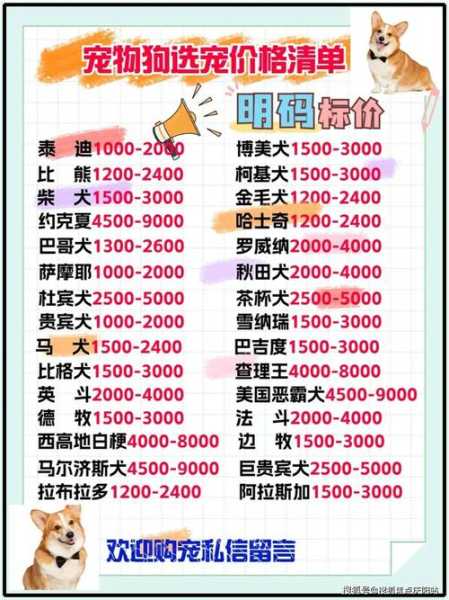 金毛犬的价位（金毛 价钱）