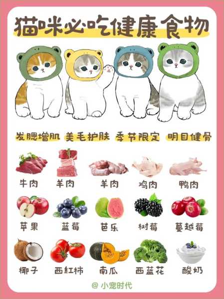 猫咪可爱怎么吃（怎样做猫猫喜欢吃的食物）