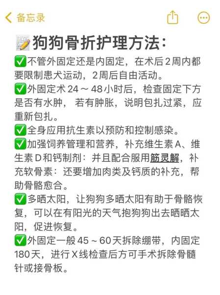 狗狗骨折手术后的护理（狗狗骨折动手术）