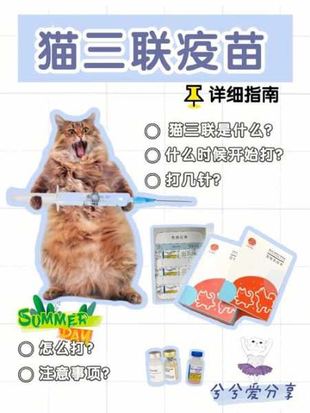 打完猫三联的猫还会得猫瘟吗（打完猫三联就不会得病吗）