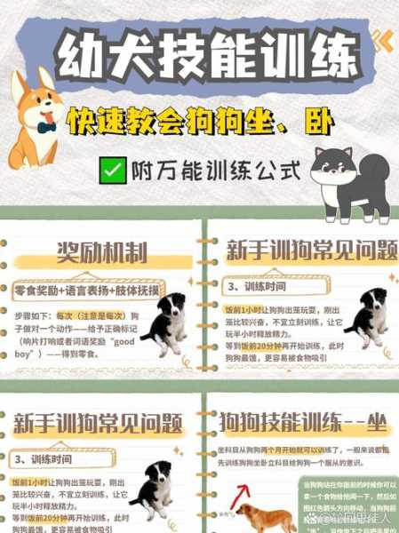 怎么训练犬坐卧立（教你训练狗狗坐下和卧下的方法）