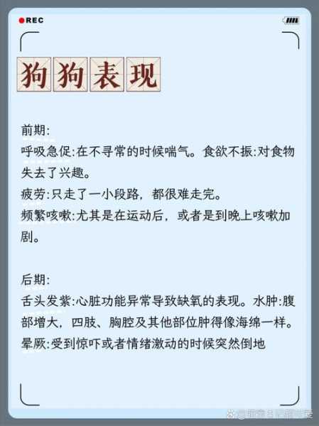 狗狗呼吸困难是怎么样的（狗狗呼吸困难是怎么样的表现）