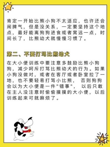 比熊幼犬怎么定点大小便训练（怎样让比熊定点大小便）