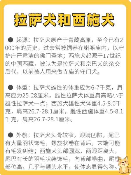 拉萨犬和西施犬如何辨认（拉萨犬与西施犬的区别）