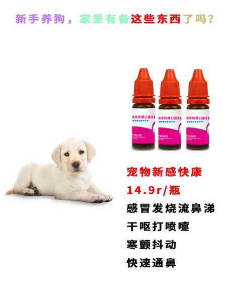 狗狗结膜炎严重了会怎么样（狗狗结膜炎有哪些症状,用什么药好）