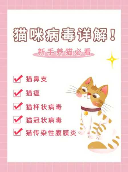 猫咪感染杯状病毒怎么检查（猫咪感染杯状病毒怎么检查的）