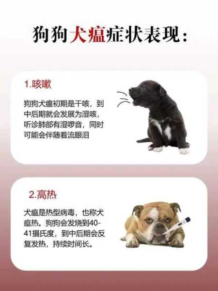 犬瘟热到底是什么病（犬瘟热有什么症状）