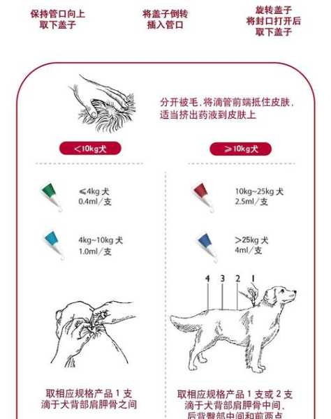 给狗狗喂食驱虫药的正确方法（给狗狗喂食驱虫药的正确方法图片）