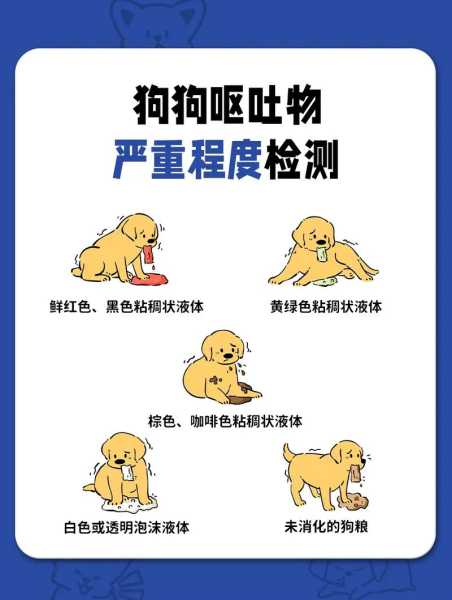 金毛犬呕吐是什么原因（金毛犬呕吐是什么原因导致的）