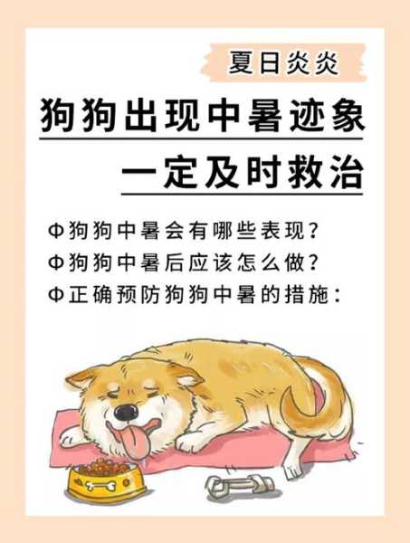 狗狗中暑有什么症状?（狗狗中暑啥症状）