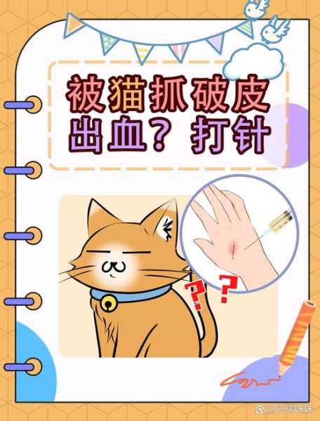 猫抓病猫怎么治疗（猫抓病怎么处理）