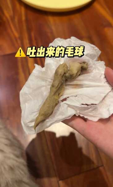 猫咪吐出毛球是不是就好了（猫吐出毛球该怎么办）