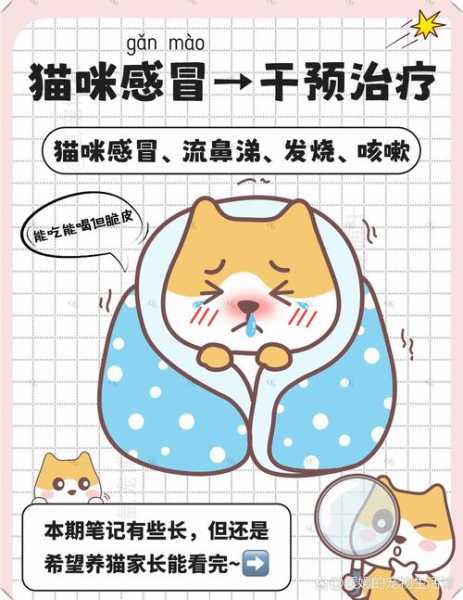 猫咪发烧是什么原因导致的（猫咪发烧什么原因引起的）