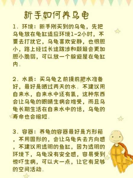 小乌龟,怎么养（刚破壳的小乌龟怎么养）