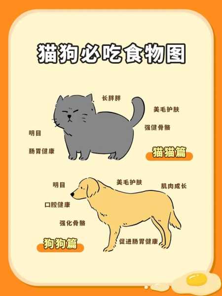 猫和狗互相吃粮（狗和猫互相吃对方的食物）