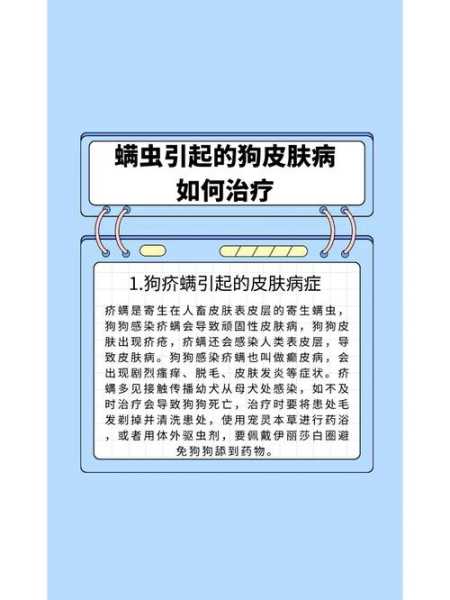 狗狗感染疥螨怎么治疗（狗感染疥螨会传染人吗）