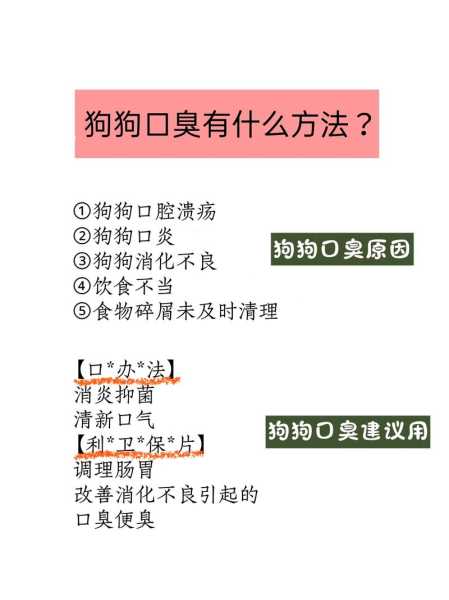 狗狗去除口臭用什么方法（如何去除狗狗口臭）