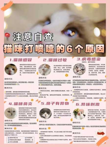 猫咪打喷嚏是感冒了吗还是过敏（猫咪打喷嚏是不是感冒）