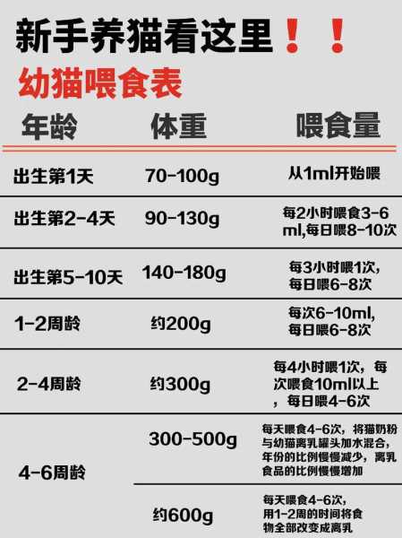 幼猫成长期掌握饮食均衡的方法（幼猫喂食量及方法）