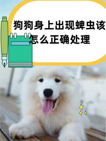 狗狗感染蜱虫后有什么反应（狗狗蜱虫病毒感染症状）