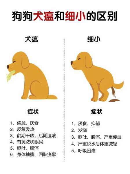 犬瘟细小后遗症（犬瘟细小会复发吗）