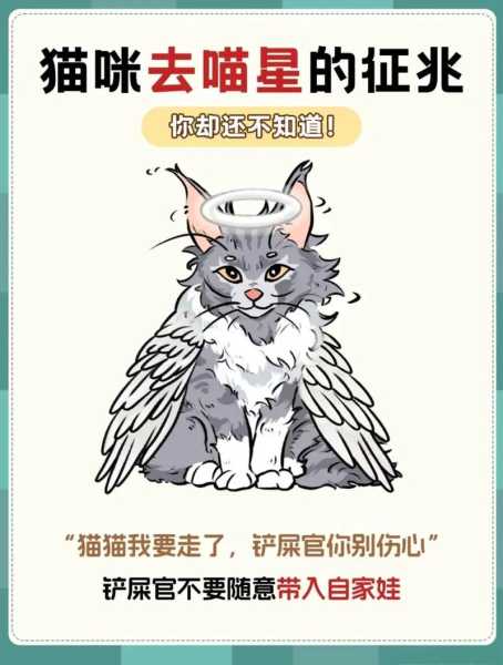 长期养猫的人呼吸不顺畅（长期养猫的人呼吸不顺畅怎么办）