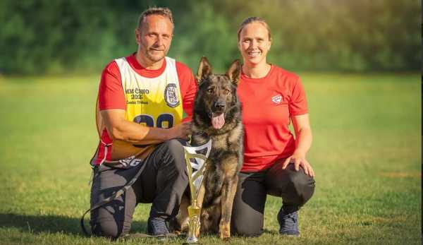 训犬师国内谁最牛（国内顶级训犬师）