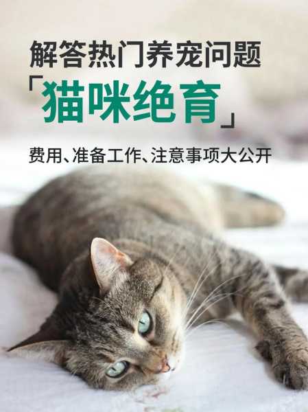 猫没打疫苗可以绝育吗视频（猫没打疫苗可以绝育吗视频讲解）